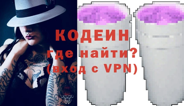 индика Сясьстрой