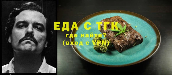 индика Сясьстрой