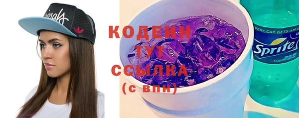 индика Сясьстрой