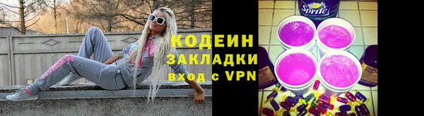дмт Тавда