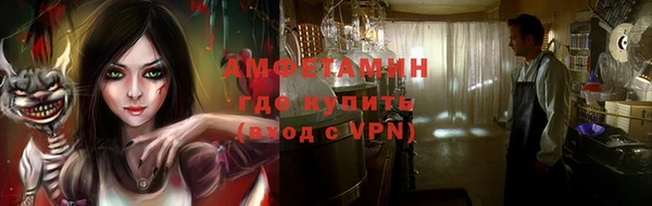 индика Сясьстрой