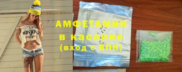 индика Сясьстрой
