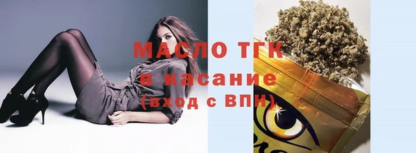 индика Сясьстрой