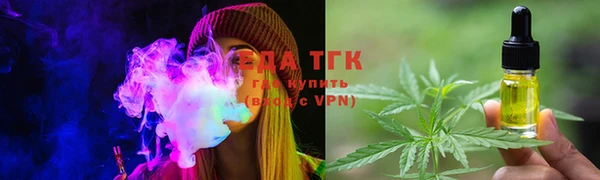 индика Сясьстрой