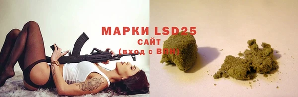 индика Сясьстрой