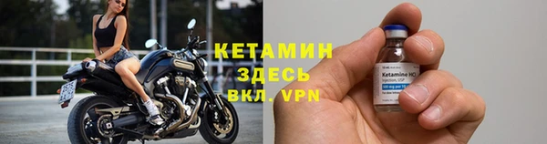 индика Сясьстрой