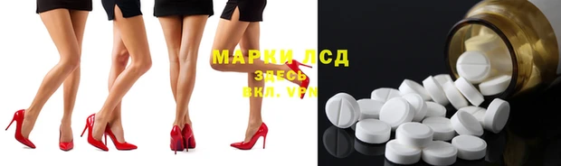 индика Сясьстрой