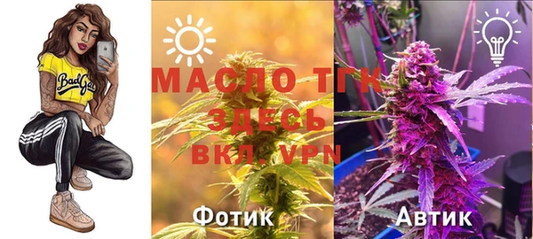дмт Тавда