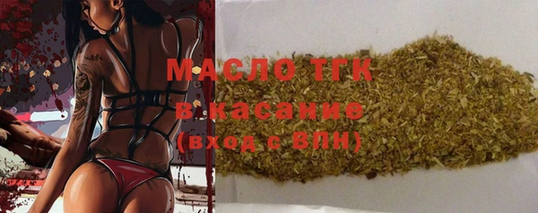 индика Сясьстрой