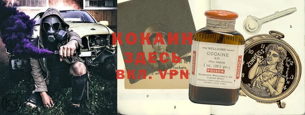 индика Сясьстрой