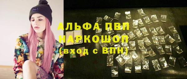 дмт Тавда
