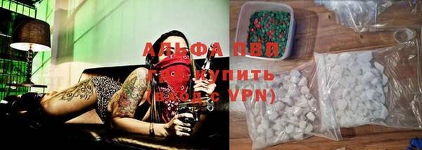 индика Сясьстрой