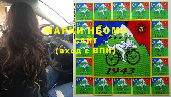 индика Сясьстрой